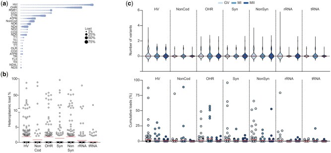 Correction to: The interplay between mitochondrial DNA genotypes, female infertility, ovarian response, and mutagenesis in oocytes.