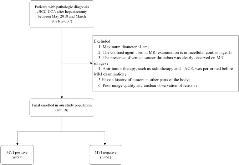 Can Peritumoral Radiomics Based on MRI Predict the Microvascular Invasion Status of Combined Hepatocellular Carcinoma and Cholangiocarcinoma Before Surgery?