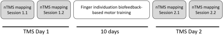 On the Relation Between the Interstimulus Intervals and Multi-Muscle nTMS Motor Mapping.