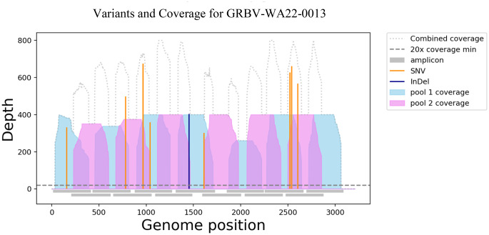 First detection and tracing of grapevine red blotch virus (GRBV) in Australia using tiled amplicon sequencing