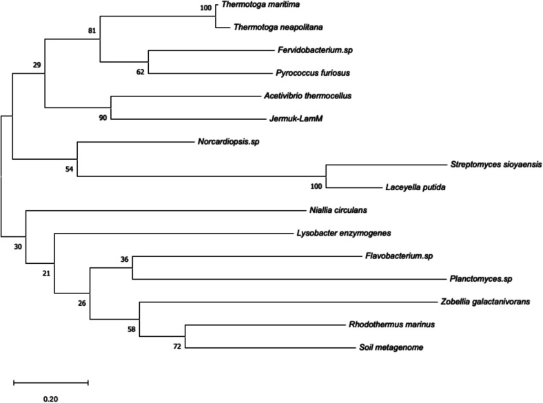 A novel acidic laminarinase derived from Jermuk hot spring metagenome