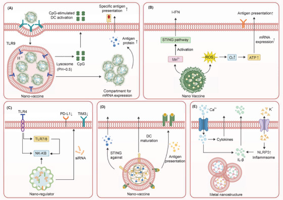 Combating cancer immunotherapy resistance: a nano-medicine perspective.