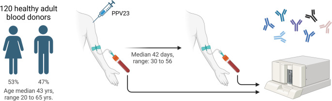 Reassessing Polysaccharide Responsiveness: Unveiling Limitations of Current Guidelines and Introducing the Polysaccharide Responsiveness Percentile Approach.