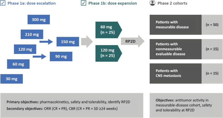Palazestrant, a novel oral Complete Estrogen Receptor Antagonist (CERAN) and Selective Estrogen Receptor Degrader (SERD), in patients with ER+/HER2- advanced or metastatic breast cancer: phase 1/2 study results.
