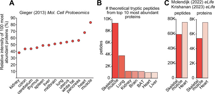 Skeletal muscle proteomics: considerations and opportunities.