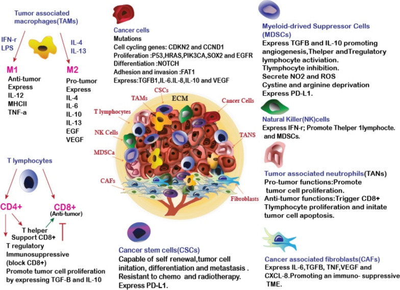 Hydrogels as advanced drug delivery platforms for cancer immunotherapy: promising innovations and future outlook.