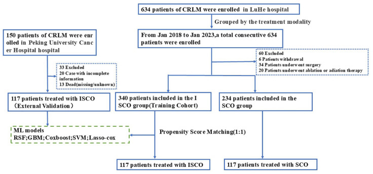 A machine learning-based prognostic stratification of locoregional interventional therapies for patients with colorectal cancer liver metastases: a real-world study.