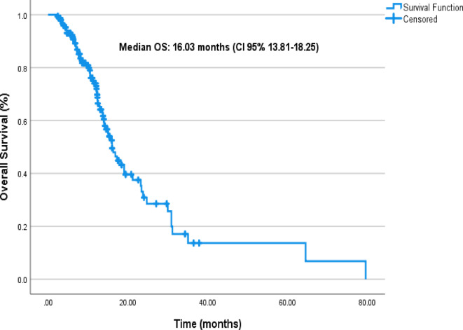 Prognostic and predictive value of systemic inflammatory markers in patients with metastatic gastric and GEJ adenocarcinoma with PD-L1 CPS score ≥ 5: Turkish Oncology Group (TOG) study.