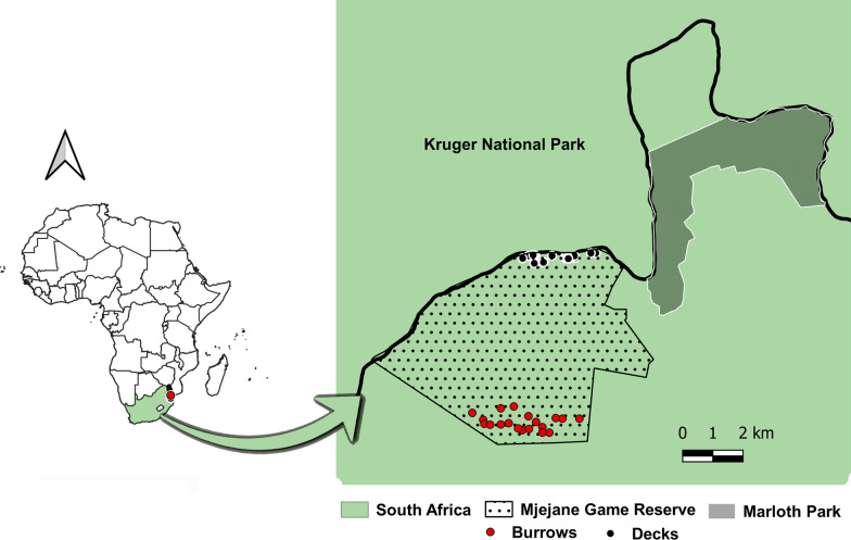 A comparison of manual and carbon dioxide trap sampling of Ornithodoros soft ticks from warthog resting sites in South Africa.