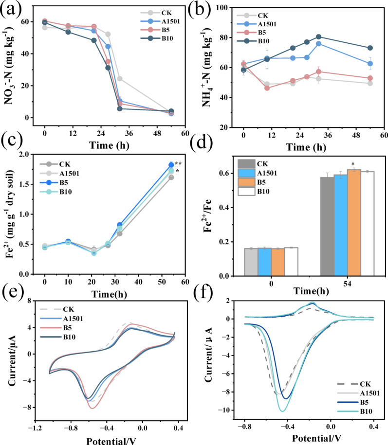 Endophytes Enhance Rice Inorganic Nitrogen Use Efficiency and Mitigate Nitrogen Loss Via Dissimilatory Nitrate Reduction To Ammonium in Paddy Soils.