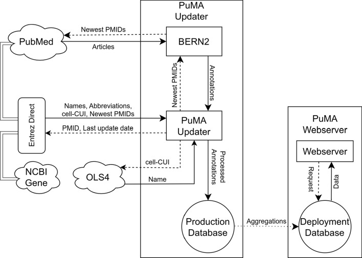 PuMA: PubMed gene/cell type-relation Atlas.