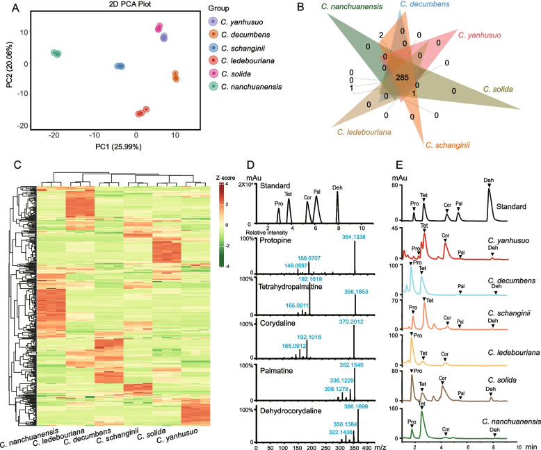 Metabolomic and evolutionary integration unveils medicinal potential in six Corydalis species.