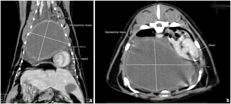 Mediastinal eosinophilic sclerosing fibroplasia associated with <i>Staphylococcus aureus</i> infection in a cat.