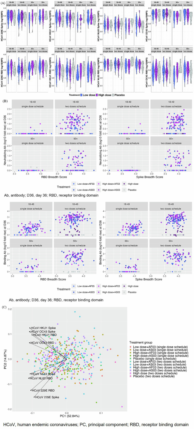 Prior human endemic coronavirus exposure does not affect humoral responses to SARS-CoV-2 protein vaccines.