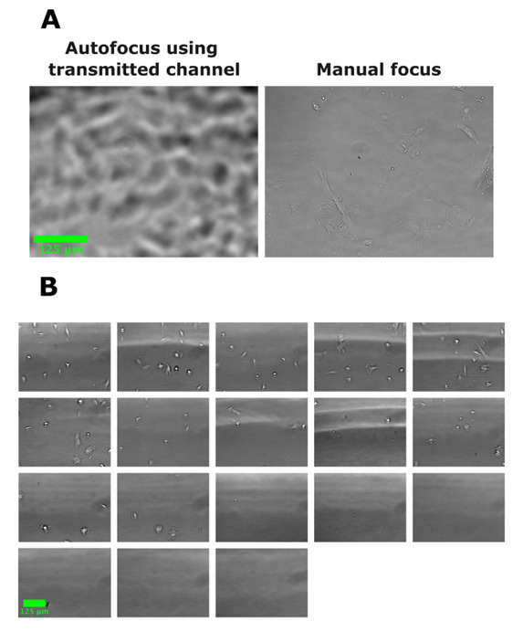 Using Beads as a Focus Fiduciary to Aid Software-Based Autofocus Accuracy in Microscopy.