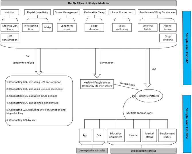 Non-random aggregations of healthy and unhealthy lifestyles and their population characteristics - pattern recognition in a large population-based cohort.