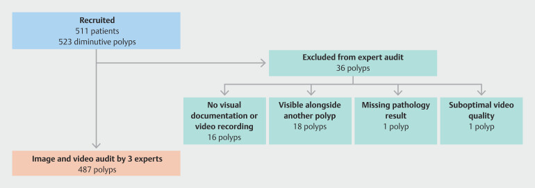 Diagnostic performance and agreement of auditors for evaluation of computer-aided optical polyp diagnosis: Prospective study.