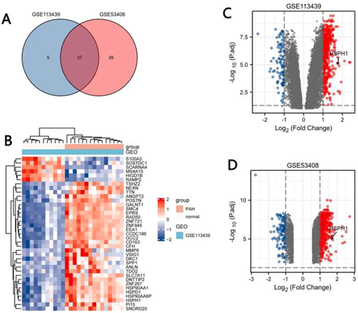 Bioinformatics Analysis Identifies a Potential Key Gene in the Pathogenesis of Pulmonary Hypertension-HSPH1.