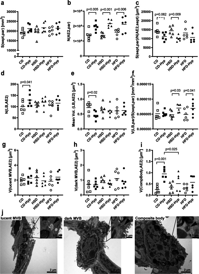 Sucrose- and fat-related metabolic states influence the adaptation of the pulmonary lipid metabolism to hypoxia.