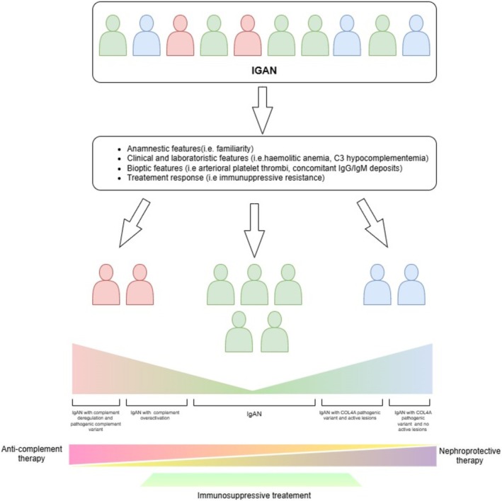 IgA Nephropathy With Membranoproliferative Pattern and Resistance to Immunosuppressive Therapy in Two Patients With Cofactor I Pathogenic Variant.