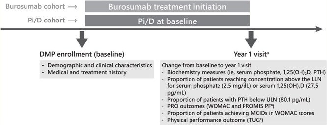 Real-world effectiveness of burosumab vs oral phosphate and active vitamin D in adults with X-linked hypophosphatemia.