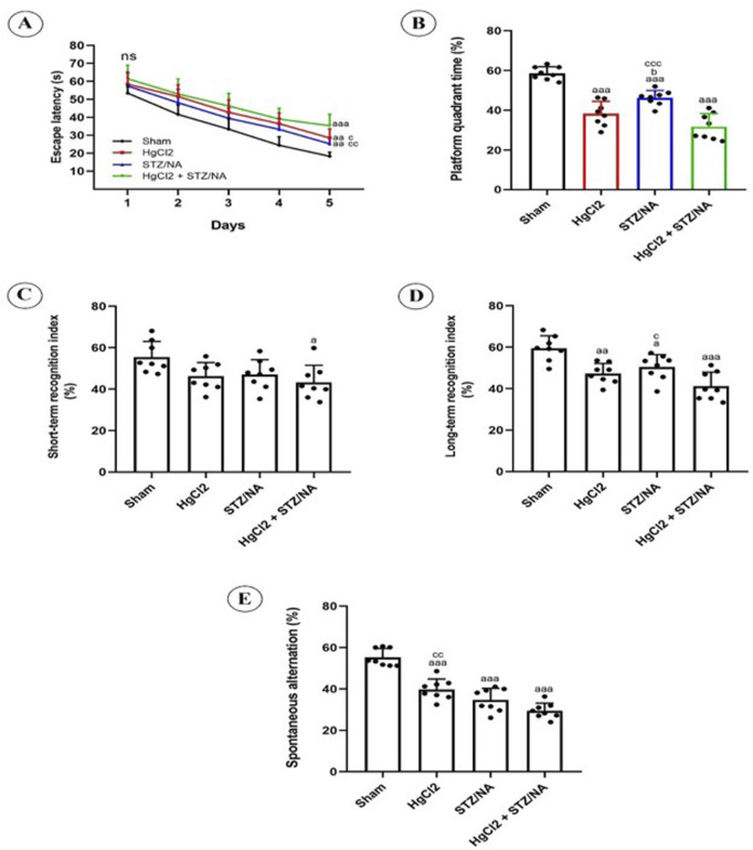 Subchronic effects of HgCl<sub>2</sub> on cognitive function and central inflammation in type 2 diabetic rats: involvement of BDNF and acetylcholinesterase.