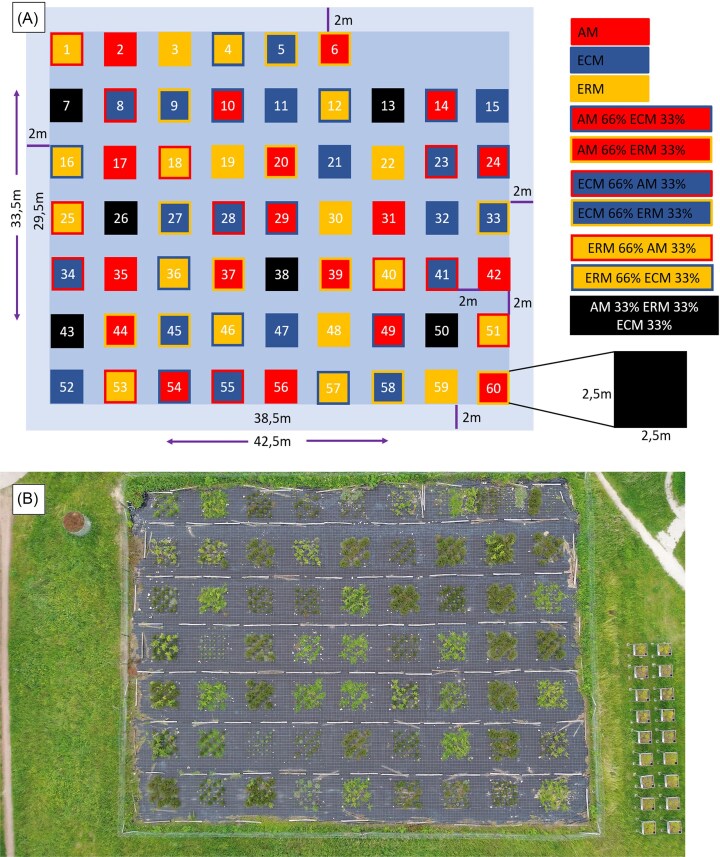 Towards understanding the impact of mycorrhizal fungal environments on the functioning of terrestrial ecosystems.