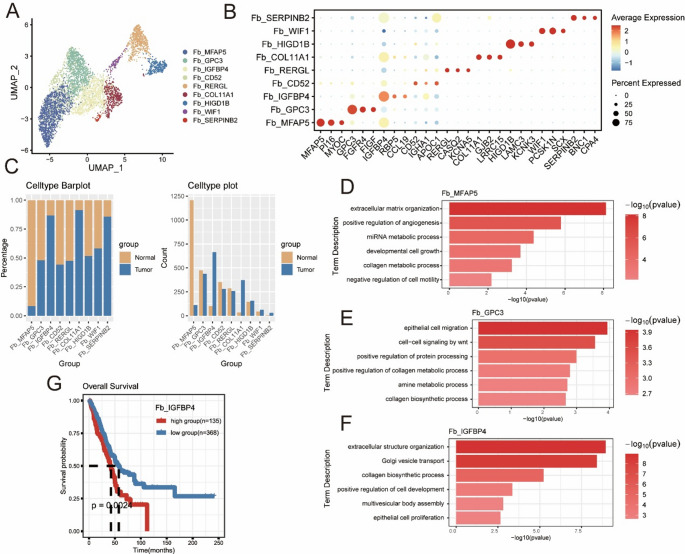 Decoding epithelial-fibroblast interactions in lung adenocarcinoma through single-cell and spatial transcriptomics.
