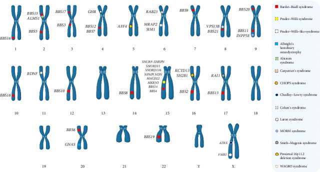 Genetic Landscape of Obesity in Children: Research Advances and Prospects.