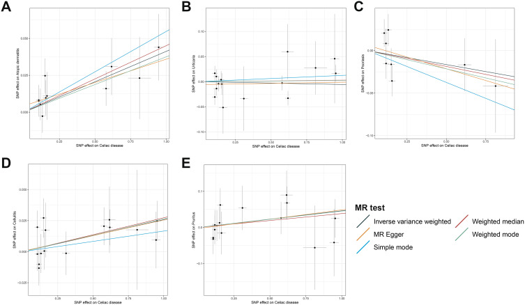 Celiac Disease and Skin Diseases: A Bidirectional Mendelian Randomization Study.