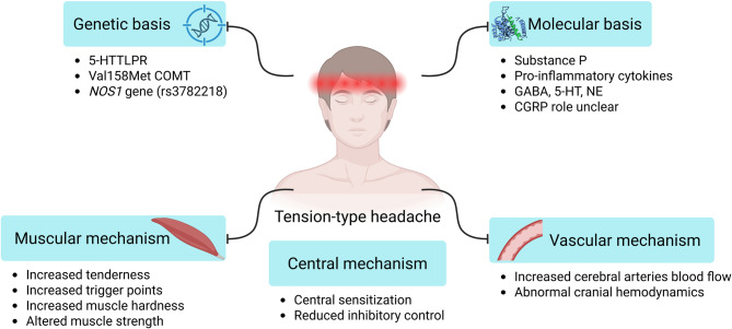 Hallmarks of primary headache: part 2- Tension-type headache.