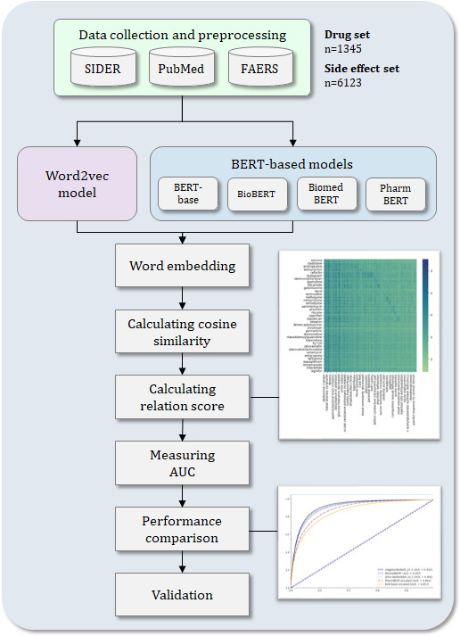 Predicting Drug-Side Effect Relationships From Parametric Knowledge Embedded in Biomedical BERT Models: Methodological Study With a Natural Language Processing Approach.
