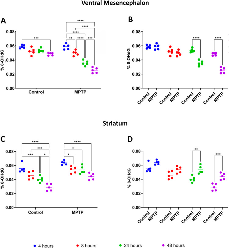 Dynamic Changes in Oxidative Stress and Epigenetic Modifications in the Ventral Mesencephalon and Striatum of MPTP-Treated Mice: Implications for Parkinson's Disease Pathogenesis.