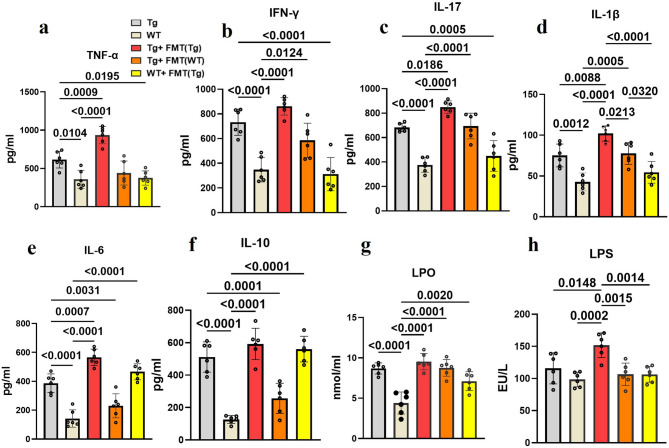 Gut Microbiome rewiring via fecal transplants: Uncovering therapeutic avenues in Alzheimer's disease models.