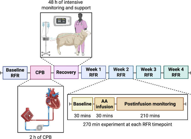 Recruitment of renal functional reserve by intravenous amino acid loading in a sheep model of cardiopulmonary bypass.