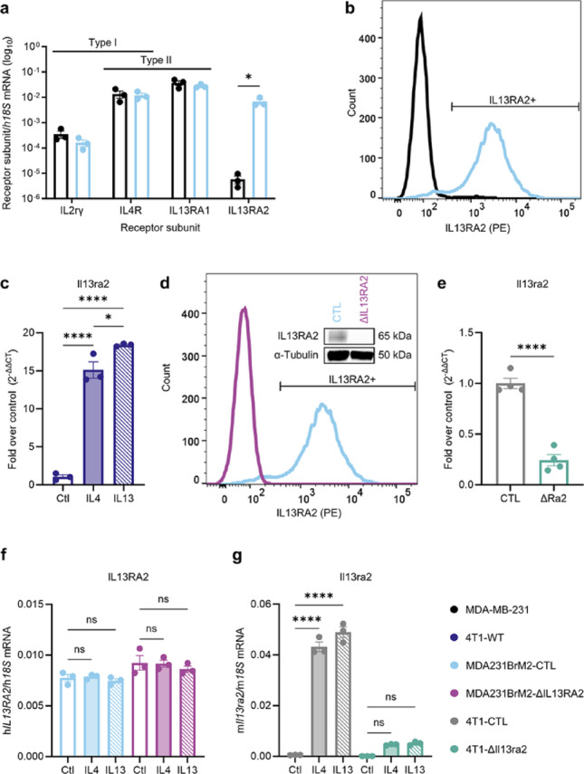 Loss of IL13RA2 promotes metastatic tumor growth in triple-negative breast cancer via increased AKT and NF-κB signaling.