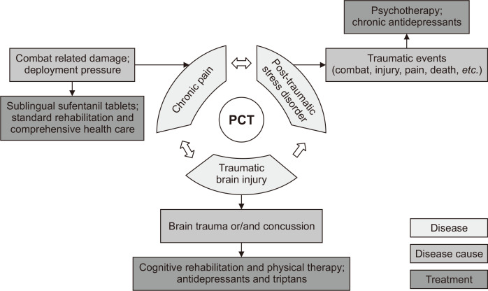 Knowledge, mechanisms, and intervention of the polytrauma clinical triad in military pain medicine.