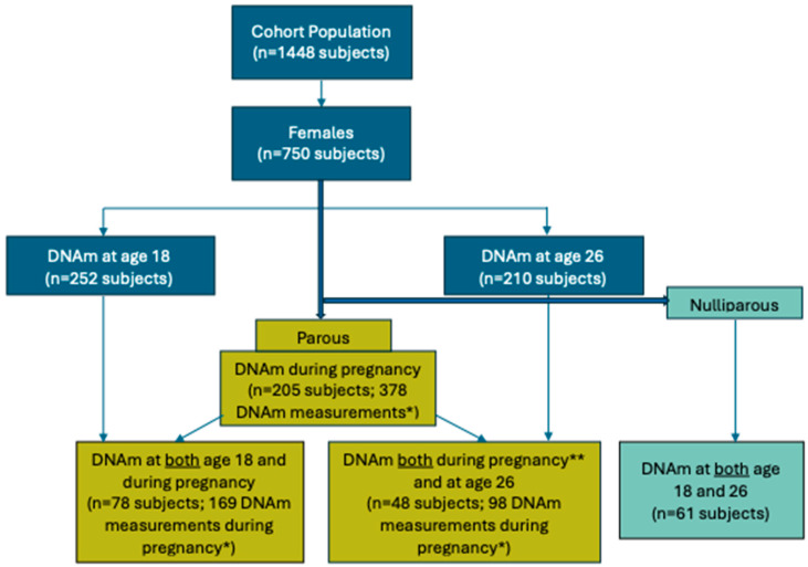 Trends in DNA Methylation over Time Between Parous and Nulliparous Young Women.