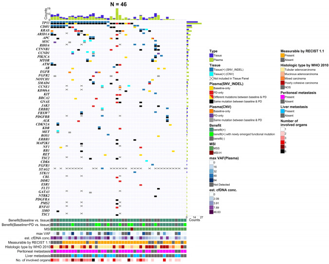 Pairwise analysis of plasma cell-free DNA before and after palliative second-line paclitaxel plus ramucirumab treatment in patients with metastatic gastric cancer.