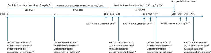 Effects of long-term high-dose prednisolone in Beagle dogs on structural and functional responses of the HPA Axis.