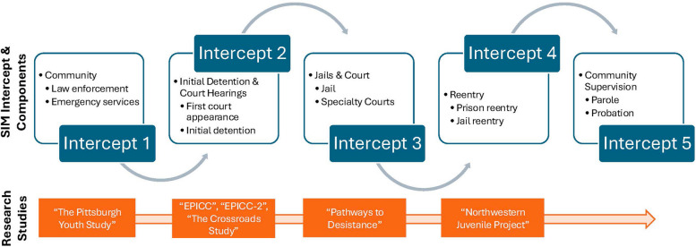 Advancing antiracist research: addressing health inequities among juvenile legal system-impacted youth using Public Health Critical Race Praxis.