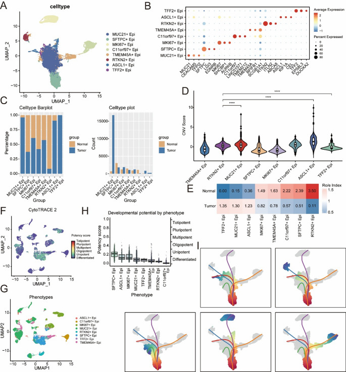 Decoding epithelial-fibroblast interactions in lung adenocarcinoma through single-cell and spatial transcriptomics.