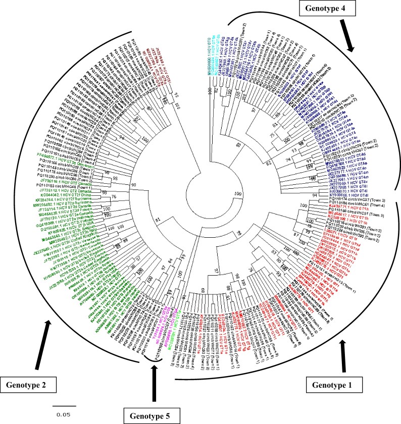 Highly genetically diverse variants of hepatitis C virus still predominate in Cameroon but with low frequency of mutations associated to resistance of NS5B polymerase-targeted antivirals.