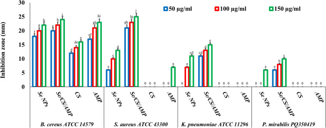 Biological activities of optimized biosynthesized selenium nanoparticles using Proteus mirabilis PQ350419 alone or combined with chitosan and ampicillin against common multidrug-resistant bacteria.