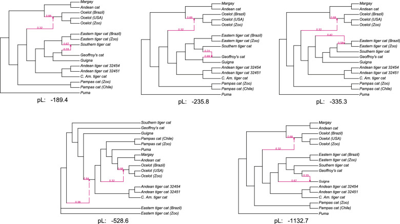 NANUQ<sup>+</sup>: A divide-and-conquer approach to network estimation.