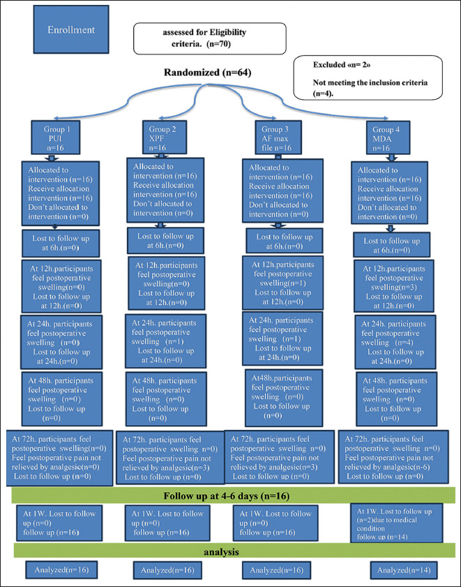 The Impact of Different Final Irrigation Activation Techniques on Postoperative Pain in Single Rooted Mandibular Premolar Teeth: Randomised Clinical Trial.