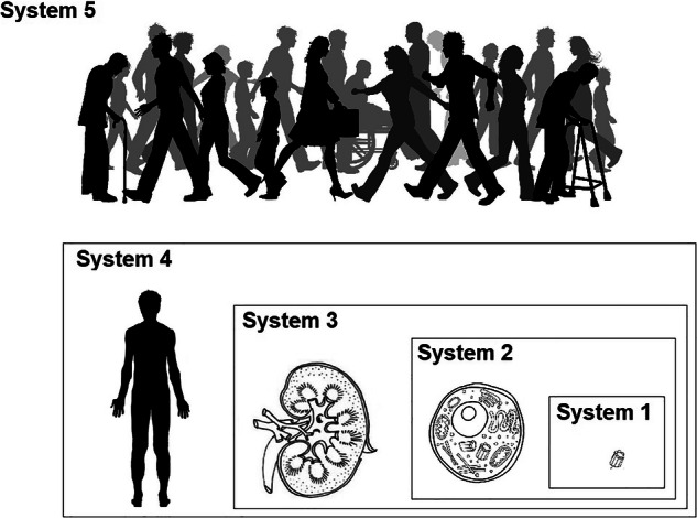 Technological and Biological Systems’ Resilience: Observations and Learnings