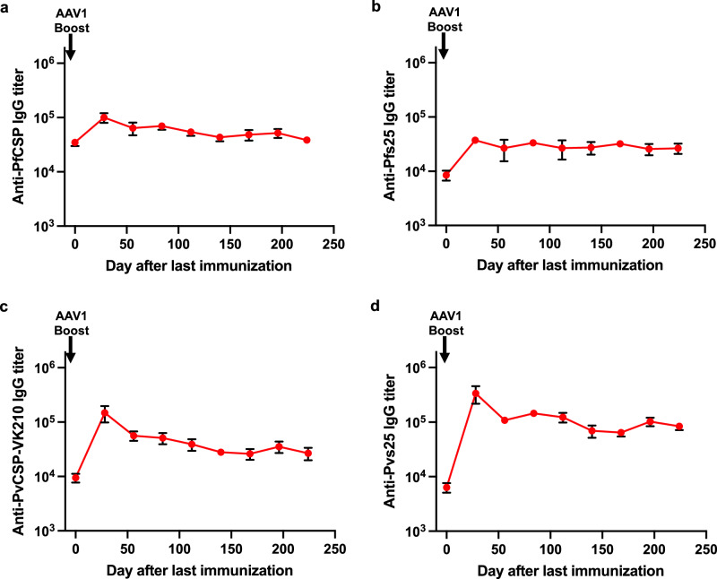 Malaria bivalent viral vectored vaccine protects against Plasmodium falciparum and vivax and blocks parasite transmission.