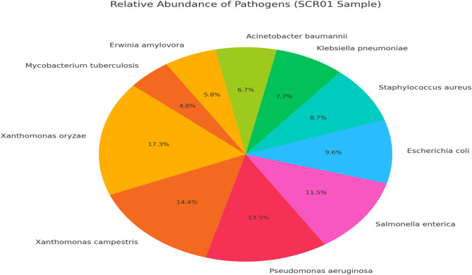 Diversity of antibiotic resistance genes and mobile genetic elements of Sof Umer Cave microbiomes, Ethiopia.