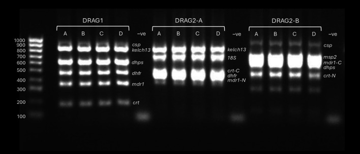 An expanded method for malaria parasite genetic surveillance using targeted nanopore sequencing.